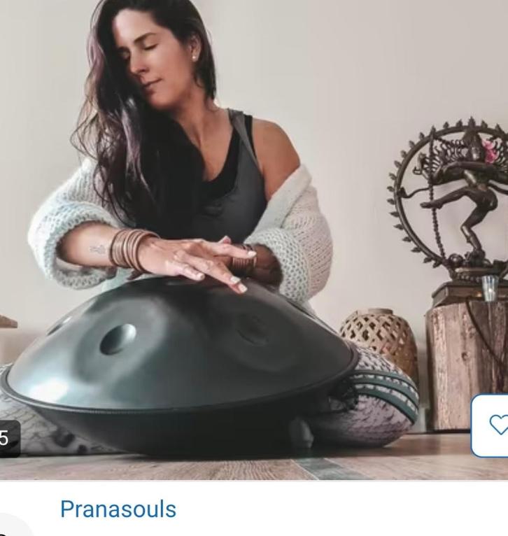 Te koop Handpan, Muziek en Instrumenten, Percussie, Zo goed als nieuw, Overige soorten, Ophalen of Verzenden