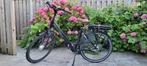 Stella E-Bike - a c c u moet vervangen worden, Gebruikt, 51 tot 55 cm, 50 km per accu of meer, Ophalen