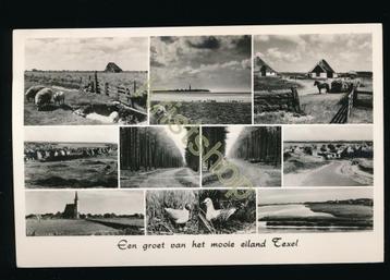 Texel - Een groet van [KRST009-0848 beschikbaar voor biedingen