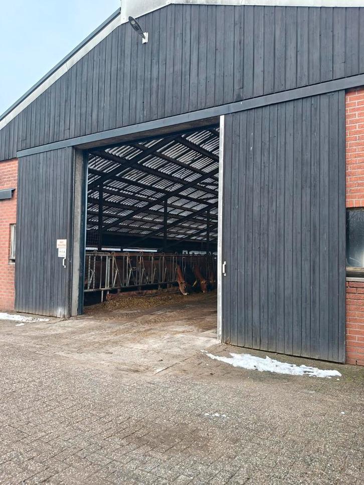 2 staldeuren, Dieren en Toebehoren, Stalling en Weidegang