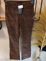 Lofty Manner Rib Broek XS Nieuw, Bruin, Lofty Manner, Nieuw, Ophalen of Verzenden