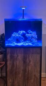 Blue marine reef 120, Dieren en Toebehoren, Vissen | Aquaria en Toebehoren, Ophalen, Zo goed als nieuw