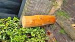Flinke boomstam, Ophalen, Gebruikt, Overige typen, Minder dan 25 cm