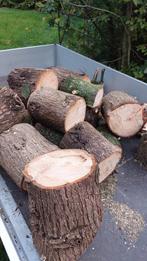 Blokken haardhout, Tuin en Terras, Haardhout, Minder dan 3 m³, Ophalen of Verzenden, Overige houtsoorten, Stammen