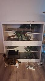 2x terrarium te koop, Dieren en Toebehoren, Ophalen, Zo goed als nieuw, Terrarium of Paludarium