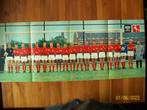 Uitklapposter FC Twente ( Revu) seizoen 1965 - 1966, Verzamelen, Verzenden, Gebruikt, F.C. Twente, Poster, Plaatje of Sticker
