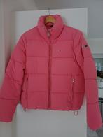 Tommy Hilfiger warme winterjas maat S Nieuw, Nieuw, Ophalen of Verzenden, Roze, Maat 36 (S)
