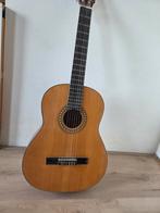 Motion Gitaar TC901 - Klassieke Gitaar, Muziek en Instrumenten, Snaarinstrumenten | Gitaren | Akoestisch, Ophalen of Verzenden