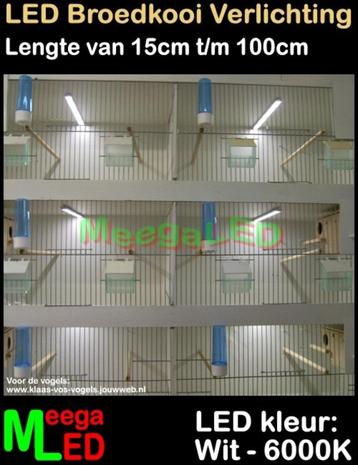 LED profiel SET 10x 15cm WIT Broedkooi Kweekkooi Vogelkooi beschikbaar voor biedingen