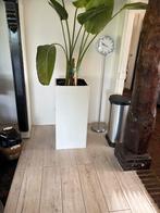 Grote plantenbak 90cm, Ophalen, Zo goed als nieuw