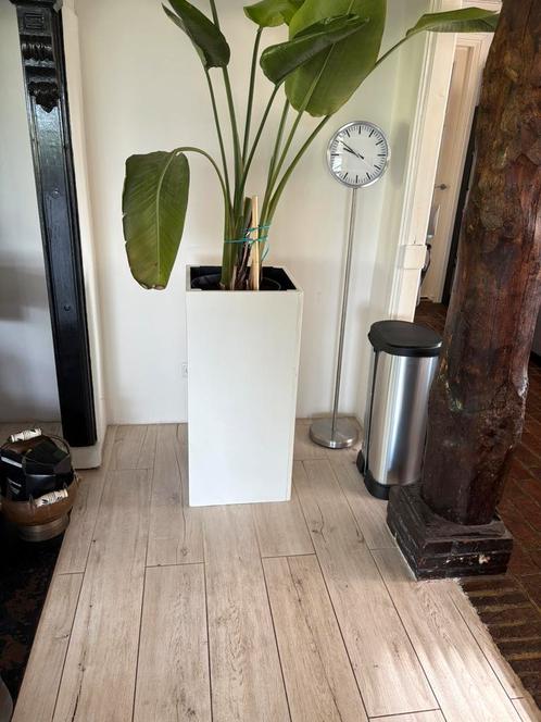 Grote plantenbak 90cm, Huis en Inrichting, Woonaccessoires | Zuilen en Pilaren, Zo goed als nieuw, Ophalen
