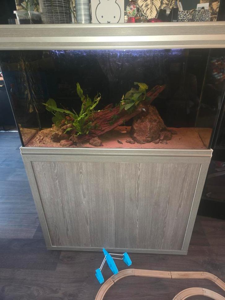 Aquatlantis Aqaurium Fluval Fx6 filter, Dieren en Toebehoren, Vissen | Aquaria en Toebehoren, Gebruikt, Gevuld zoetwateraquarium