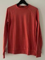 Trui Denham maat S katoen, Ophalen of Verzenden, Zo goed als nieuw, Maat 46 (S) of kleiner, Denham