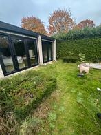 Coniferen ruim 3 m hoog eruit en ophalen voor febr/maart, Tuin en Terras, Planten | Bomen, Ophalen, Bloeit niet, Halfschaduw, Overige soorten