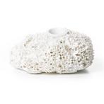 Te koop gevraagd: Sponge Vase!, Ophalen of Verzenden