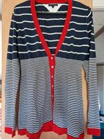 Tommy Hilfiger vestje mt L, Ophalen of Verzenden, Blauw
