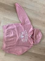Texel Hoody oud roze 146, Kinderen en Baby's, Ophalen of Verzenden, Gebruikt, Meisje, Trui of Vest