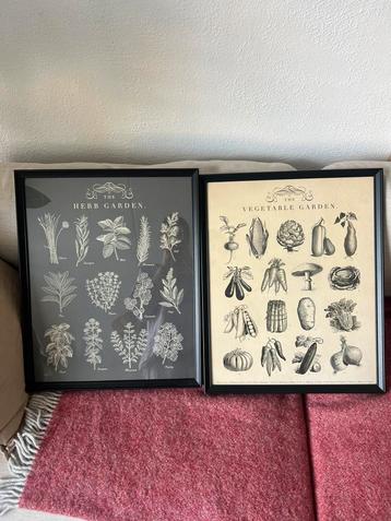 Ikea poster KNOPPÄNG beschikbaar voor biedingen