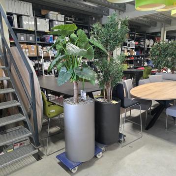 Diverse grote kunstplanten in hoge pot voor kantoor, woning  beschikbaar voor biedingen