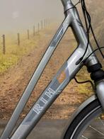 RIH Z-Omega elektrische fiets met voorwiel motor ebike!, Ophalen of Verzenden, Zo goed als nieuw, 50 km per accu of meer, Overige merken