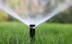 waterbron in de tuin waterpulse gratis water filterbuis, Ophalen, Nieuw, Elektrisch, Beregeningspomp