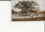 Oranjewoud Boerderij bij Hotel Tjaarda naar Tzummarum, Verzamelen, Ansichtkaarten | Nederland, Verzenden, 1940 tot 1960, Gelopen