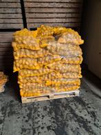 Agria Aardappelen - 5, 10 & 25 kg zakken, Ophalen of Verzenden