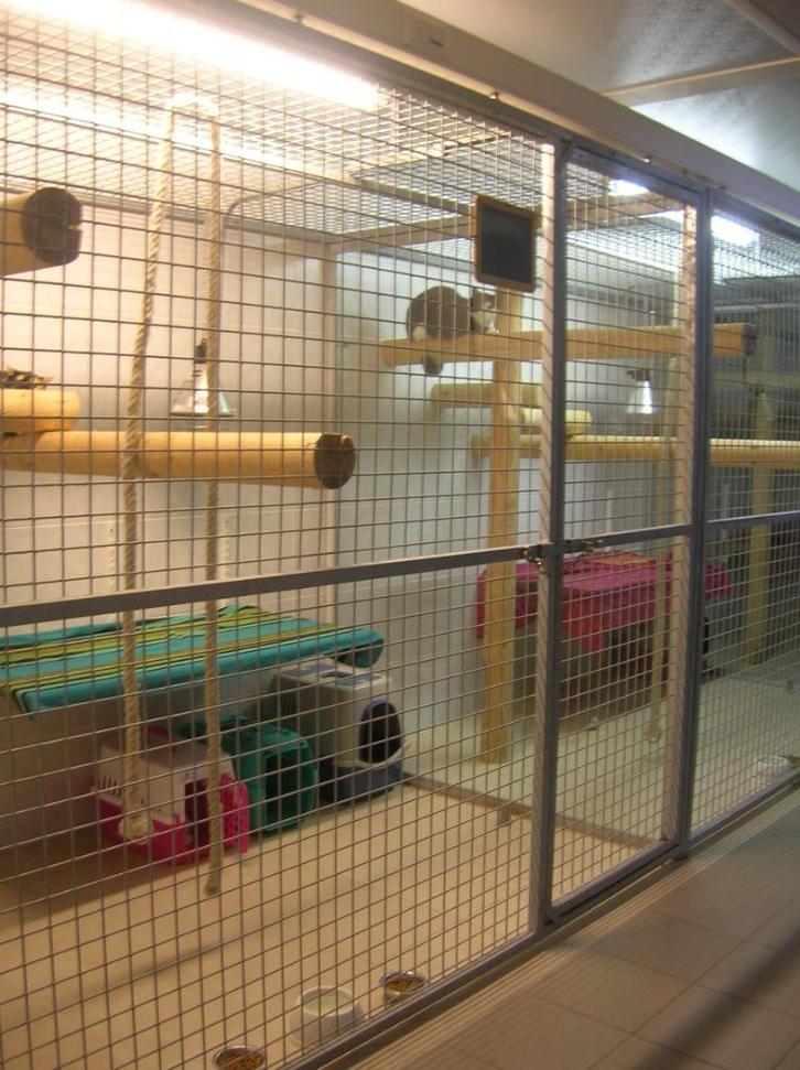 hondenpension manuhof, Diensten en Vakmensen, Dieren | Honden | Verzorging, Oppas en Les, Pension of Dagopvang