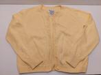 2 vestjes meisjes 122, Ophalen of Verzenden, Zo goed als nieuw, Meisje, Trui of Vest
