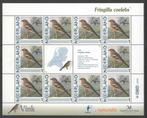 Postzegels Vogels in Nederland: Vink, Ophalen of Verzenden, Na 1940, Postfris