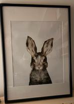 Poster 3 luik van jong konijn, hert en eend, Ophalen, Rechthoekig Staand, Zo goed als nieuw, Canvas of Doek