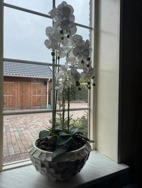 Prachtige ronden vazen, Huis en Inrichting, Woonaccessoires | Vazen, Nieuw, Overige kleuren, Minder dan 50 cm, Ophalen of Verzenden