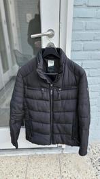 Chasin winterjas, Kleding | Heren, Jassen | Winter, Ophalen of Verzenden