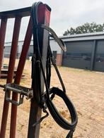 Hoofdstel full, Ophalen of Verzenden, Zo goed als nieuw, Dressuur