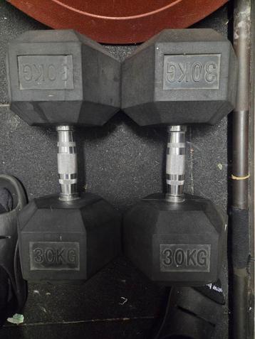2x 30kg Dumbbells - Krachttraining beschikbaar voor biedingen