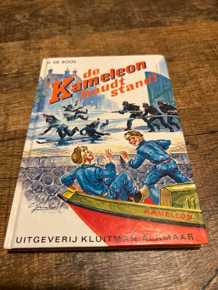 De Kameleon Houdt Stand - H. de Roos, Boeken, Kinderboeken | Jeugd | onder 10 jaar, Gelezen, Fictie algemeen, Ophalen of Verzenden