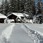 Chalet in de Zwitserse Alpen