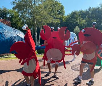 Verkleedkleding krab carnaval of dorpsfeest diep in de zee beschikbaar voor biedingen
