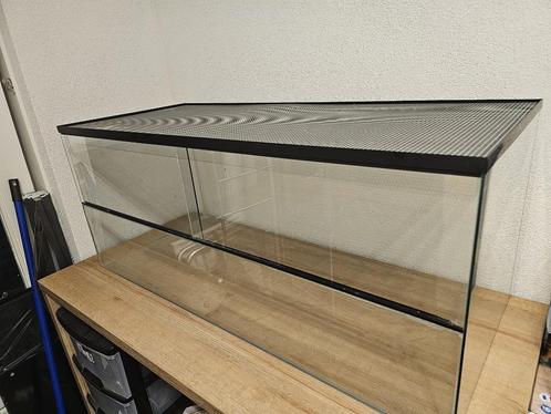 Terrarium 120x50x50 - Lichte schade, Dieren en Toebehoren, Knaagdieren en Konijnen | Hokken en Kooien, Gebruikt, Hok, Minder dan 60 cm