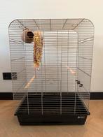 Parkietenkooi vogelkooi met toebehoren, Dieren en Toebehoren, Vogels | Hokken en Kooien, Ophalen, Zo goed als nieuw, Metaal, Vogelkooi