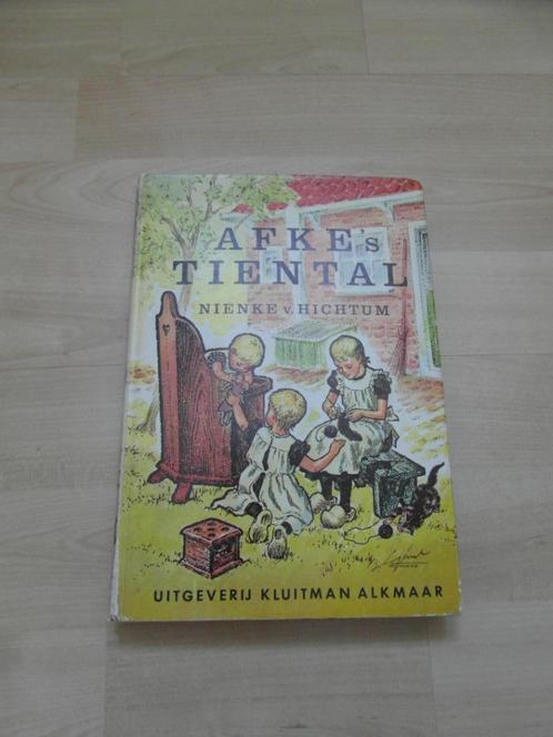 Afke’s Tiental Nienke v. Hichtum  Uitgave jaren 70, Boeken, Romans, Gelezen, Nederland, Ophalen of Verzenden