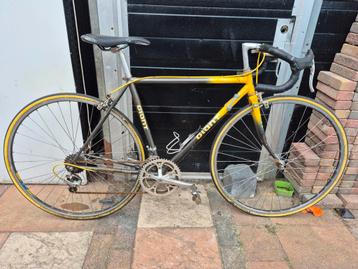 Giant wielrenfiets beschikbaar voor biedingen