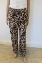 Azzurro panterbroek maat L/XL, Azzurro, ., Zwart, Maat 42/44 (L)