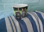 Royal Canin beker Maine Coon, Ophalen, Gebruikt, Overige typen, Overige stijlen