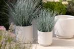 Set Van 3 Bloempotten Misty Klei Wit, 25 tot 40 cm, Overige materialen, Veens Living, Rond