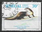 Senegal 1994 - Yvert 1078 - Witwangotter 70 F. (ST), Postzegels en Munten, Postzegels | Afrika, Ophalen, Overige landen, Gestempeld