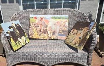 Tuin canvas schilderij beschikbaar voor biedingen