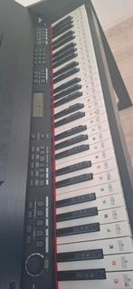 Max Rhapsody DP61 Digitale Piano Set, Met standaard, Ophalen, Overige merken, 61 toetsen