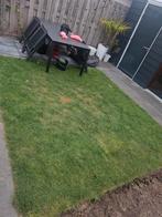 Gras, Ophalen of Verzenden, Gebruikt, 20 m² of meer