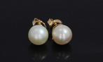 Zoetwater parel 14k gouden dames oorbellen vintage stekers